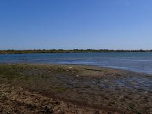 Berge exondée à l'embouchure (C.Grillas)
